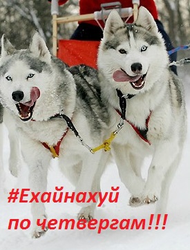 Инкубатор в классическом стиле