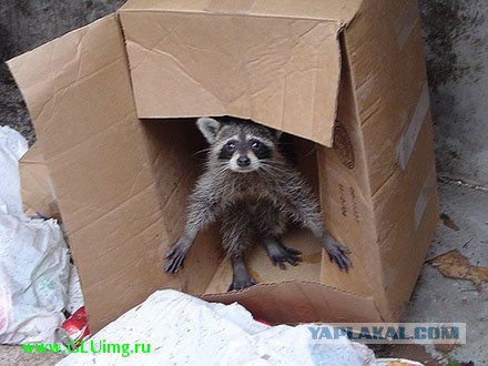 Комод в стиле "Лофт"