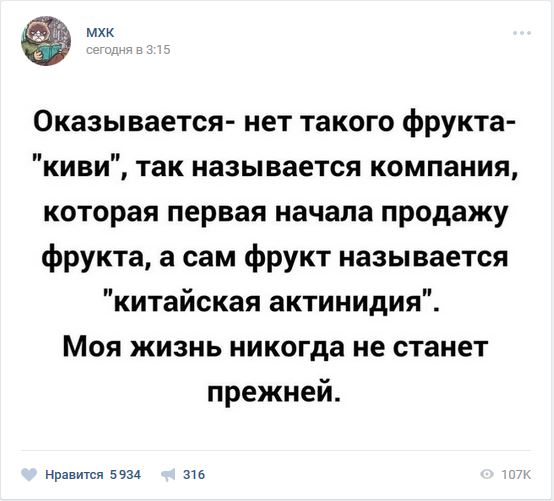 Смешные комментарии из социальных сетей 26.05.2017