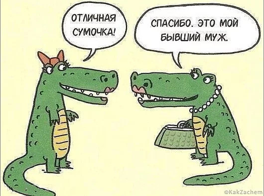 Подборка интересных и веселых картинок
