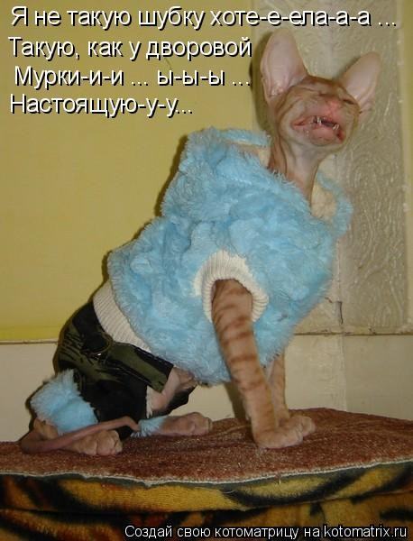 Откуда взялись лысые кошки?