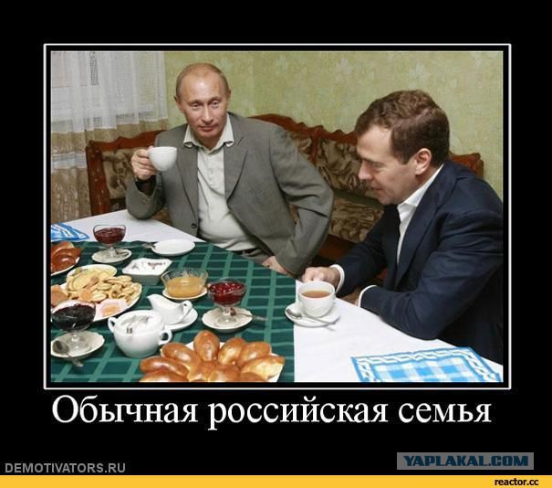 Более 80% россиян одобряют работу Путина