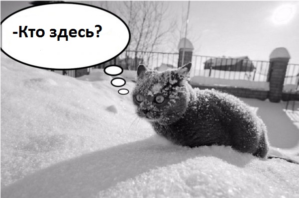 Зарядись позитивом на понедельник