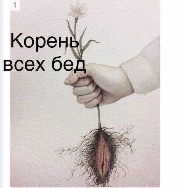 Мечта всех женщин - дурак с деньгами