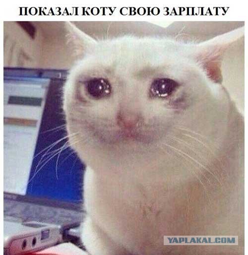 Вот так выглядит дверь, где я получаю зарплату