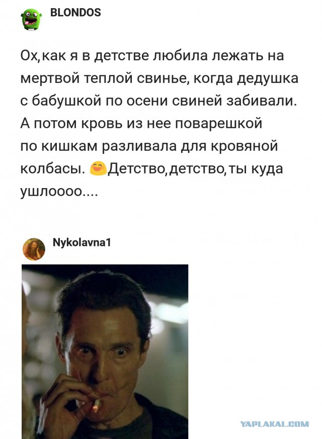 Американка, застрелившая редкого жирафа, возмутила Интернет