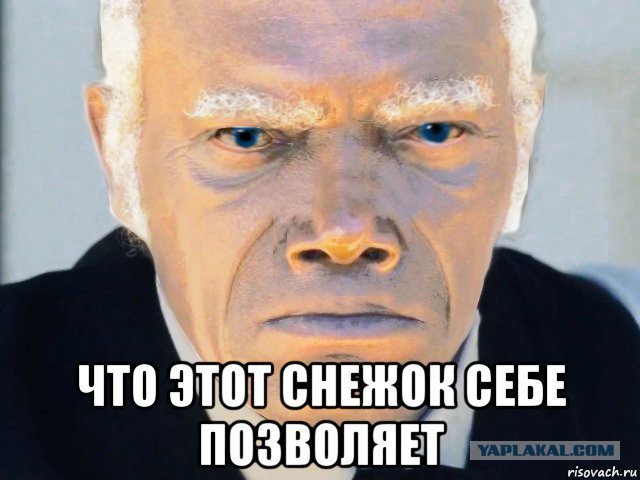 12482941.jpg