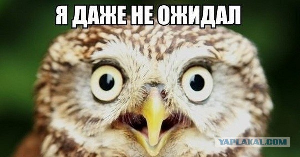 Как нужно управлять вертолетом на пульте