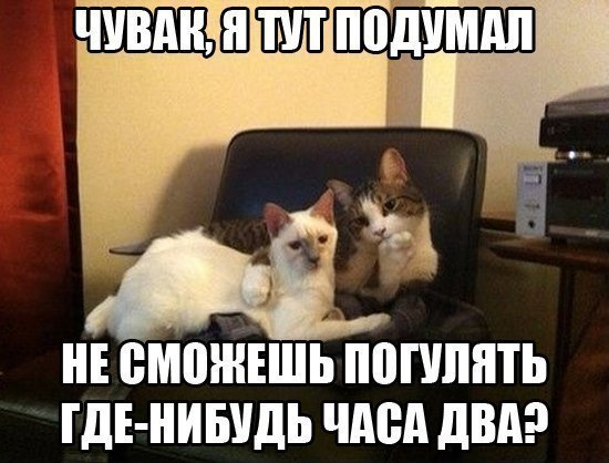Картинок пост