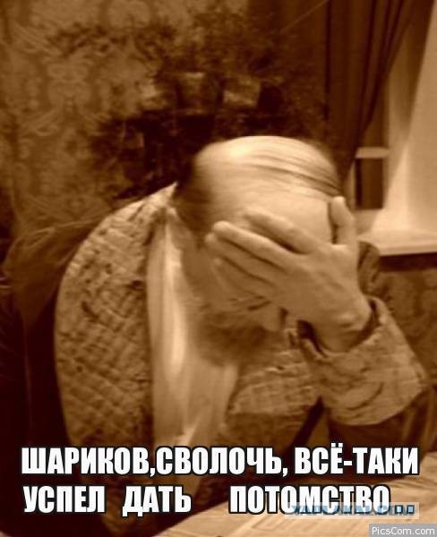 В Норвиче люди устроили бойкот магазину, потому что оттуда выгнали кота