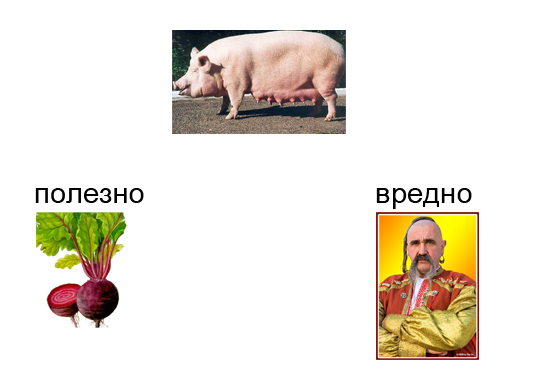Полезное и не полезное