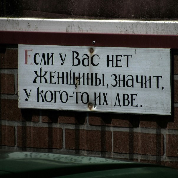 Фотки и картинки: юморные и красивые, забавные и милые 07.10.20