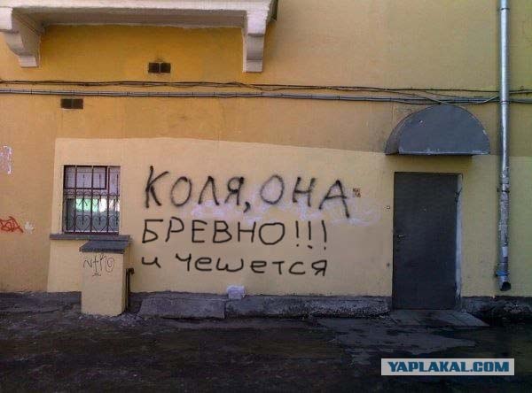 Фотожаба: Коля, она тебе не даст!