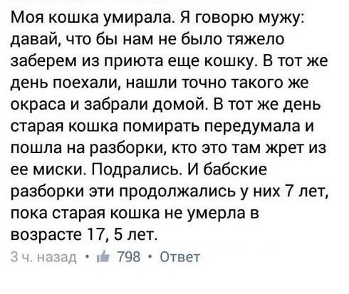 У животных должна быть своя миска или нет?