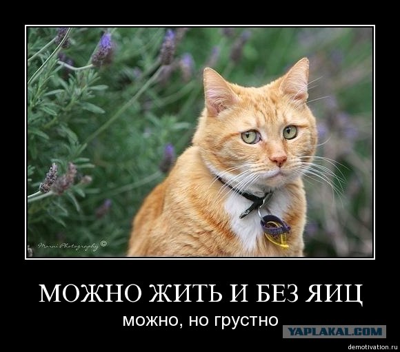 Самая грустная машина в мире