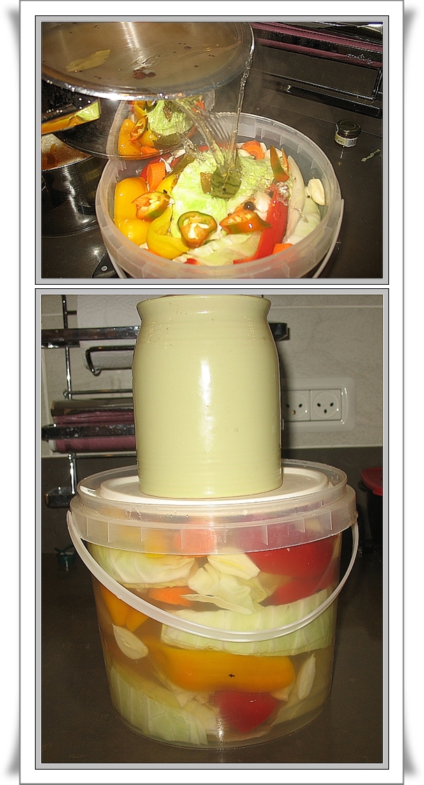 Капуста International, Наступила осень, отцвела капуста...