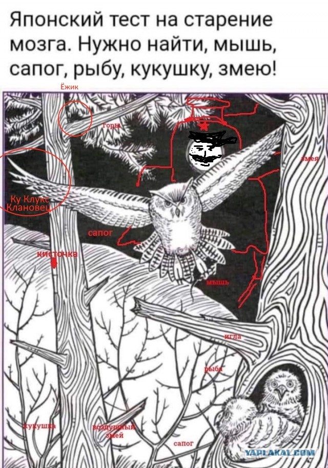 Бредзона 10.10.2021