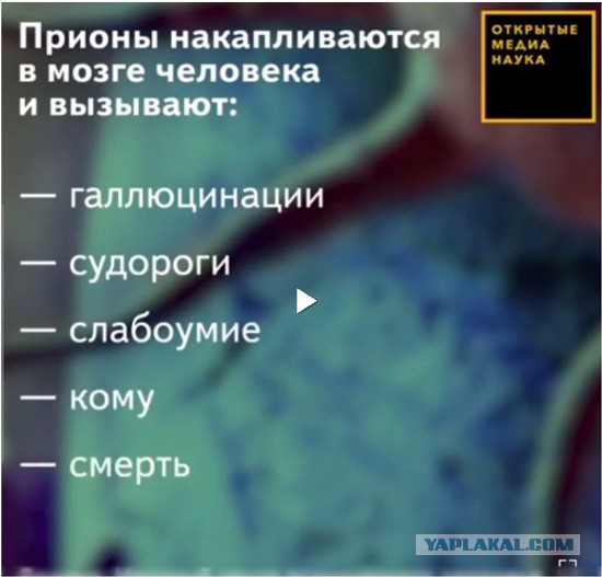 В Санкт-Петербурге охранник Эрмитажа сломал нос мужчине. Ковидопсихоз!