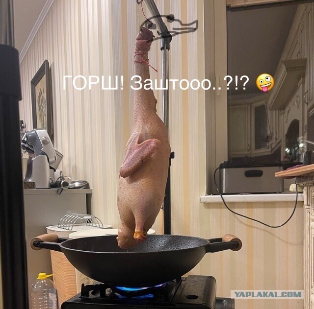 Кулинарное маньячество: Утка по-пекински.