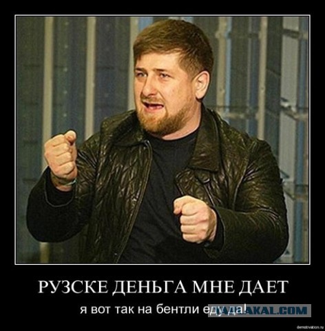 Критиковавшие Кадырова блогеры заявили о похищении родственников