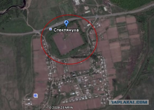 «Яйца судьбы»