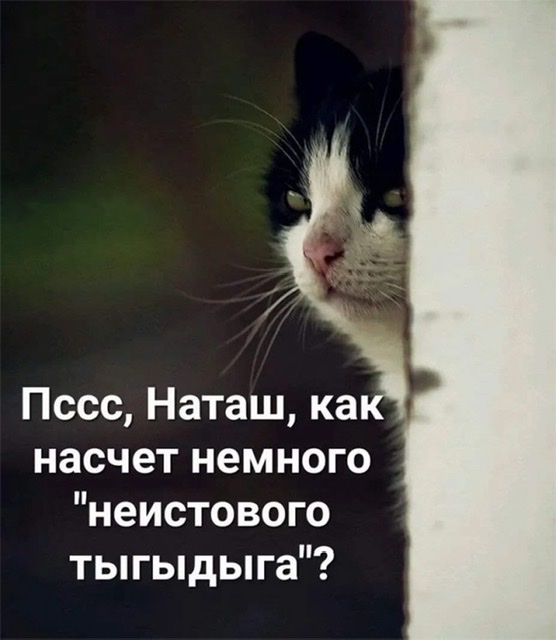 Где найти богатую?