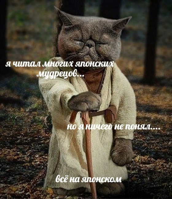 Так себе картинки 11.06.22