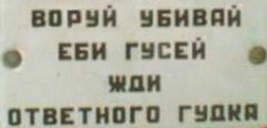 Из колхозной молодёжи панковал один лишь я