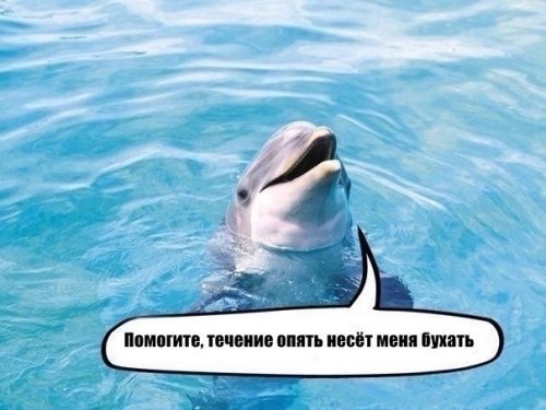 3 этапа жизни