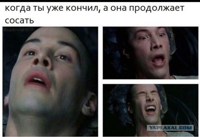 А вы знали, что в зависимости от жеребца конская сперма является одной из самых дорогих жидкостей на планете