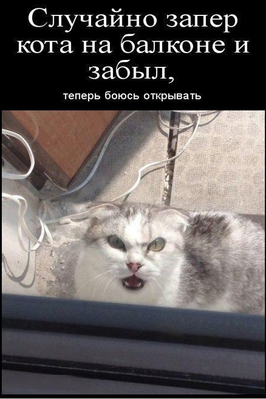 Так себе картинки 02.05.23