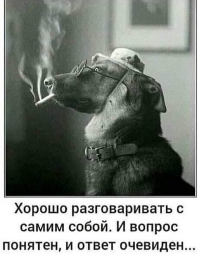 Картинки и мемы, всяко разно - 181
