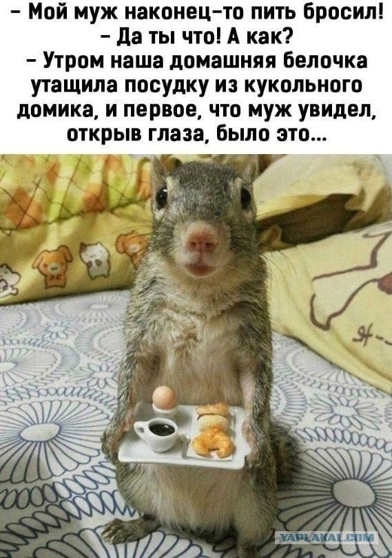 Женился на девственнице и пожалел!