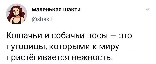 Забавные картинки, шутки из этих ваших интернетов