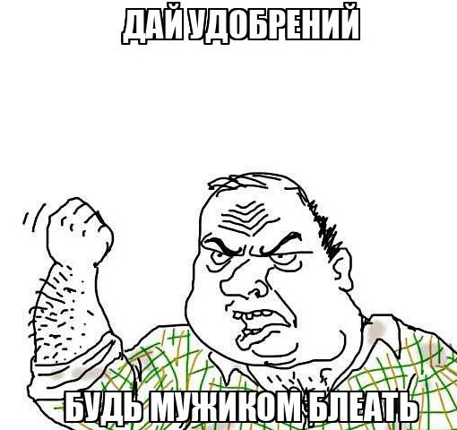 Фермеры опрыскивали навозом французские правительственные здания