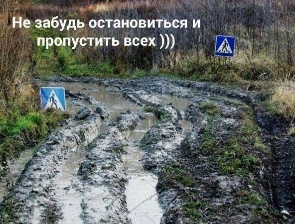 Отряд быстрого деградирования