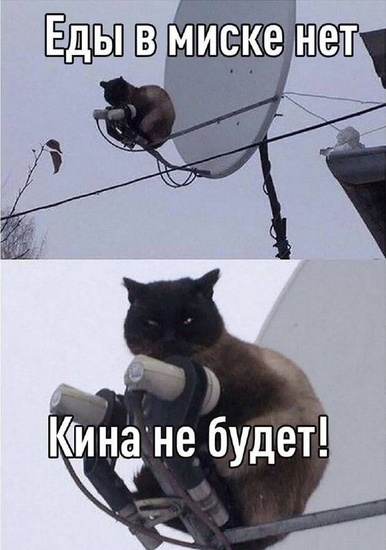Забавные картинки, шутки из этих ваших интернетов