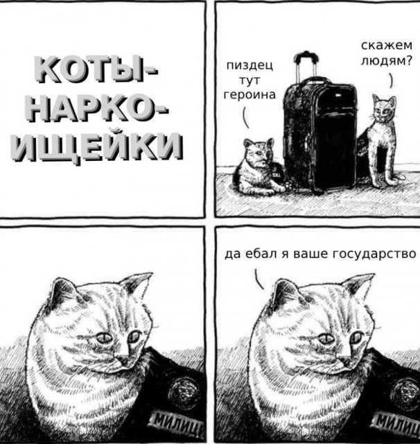 Три десятка забавных картинок на экватор недели