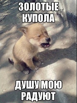 Видимо надо брать, пока не раскупили