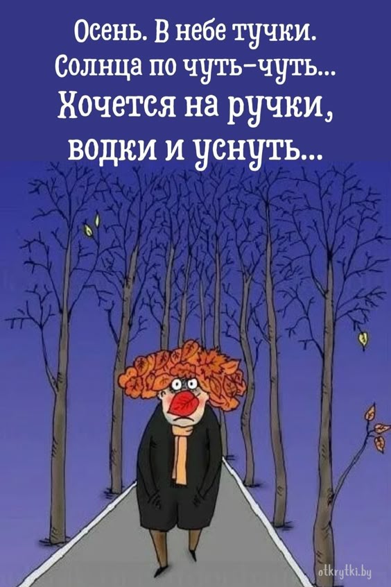 Прикольные и просто красивые картинки 18.10.2024