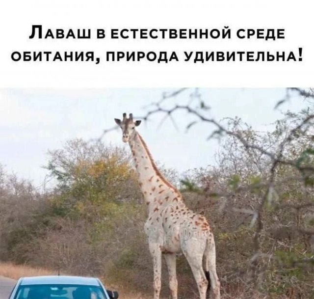 Так себе картинки 29.11.24