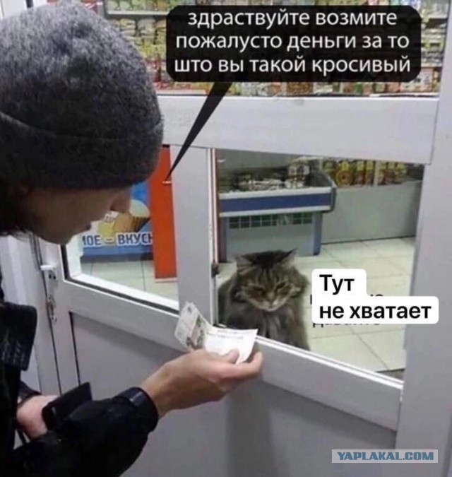 Такая вот леденецня, малятки