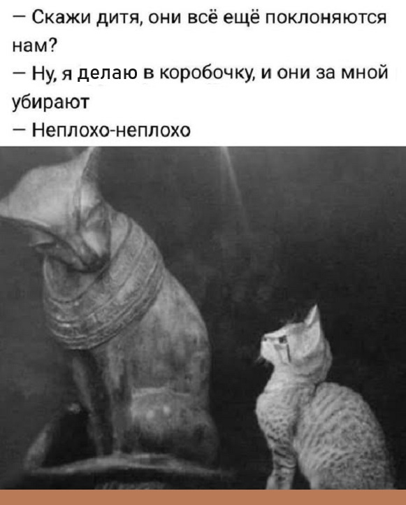Картинки разные с надписями и без