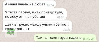 80 баянов из вацапов