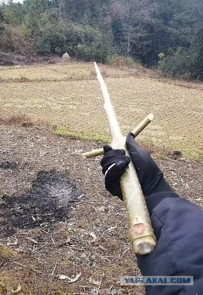Из поколения в поколение