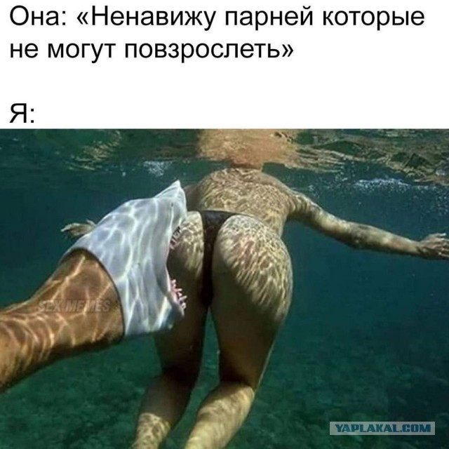 Бесплатнавые баяны