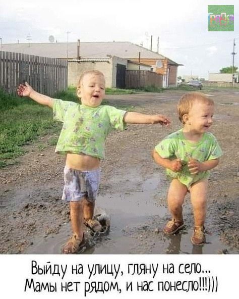 Прикольные и просто красивые картинки