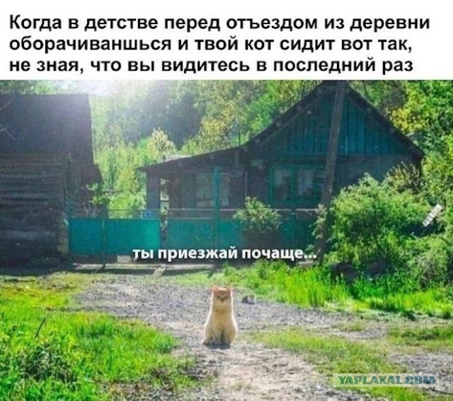 Картинки для деградации 24 (разной степени свежести)
