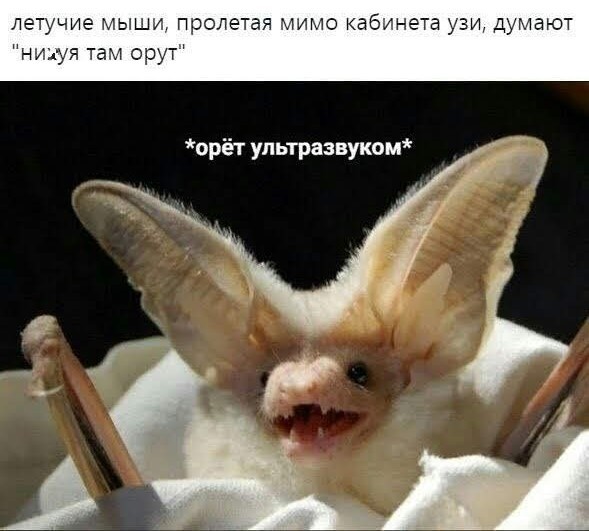 Отсутствие морально этических норм Vol.57