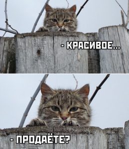 Батин Джин